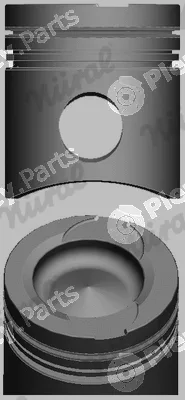 Wilmink Group WG1175576 — Piston