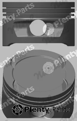 Wilmink Group WG1175637 — Piston