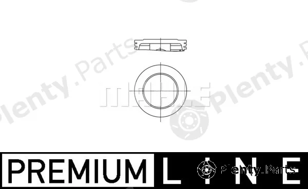 Wilmink Group WG2179617 — Piston