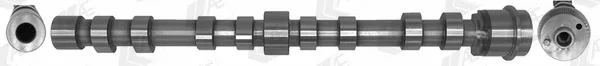 Wilmink Group WG2202338 — Camshaft