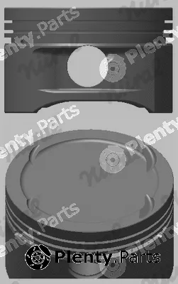 Wilmink Group WG1175606 — Piston