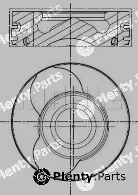 Wilmink Group WG1787937 — Piston