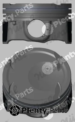 Wilmink Group WG2294353 — Piston