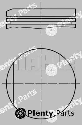 Wilmink Group WG1202119 — Piston