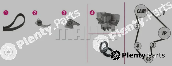 Wilmink Group WG2182174 — Water Pump & Timing Belt Kit
