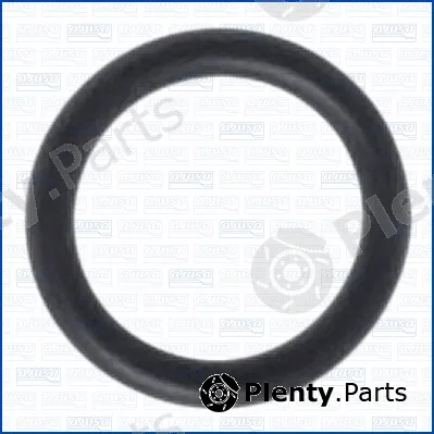 Wilmink Group WG2081618 — Seal, thermostat