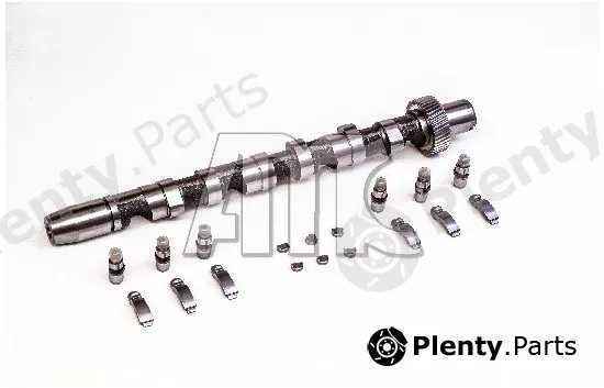 Wilmink Group WG2010549 — Camshaft Kit
