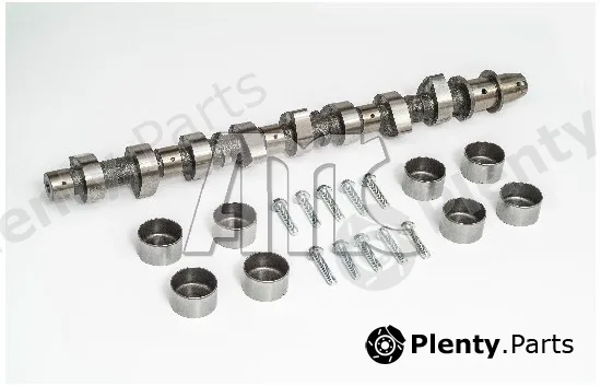 Wilmink Group WG2010618 — Camshaft Kit