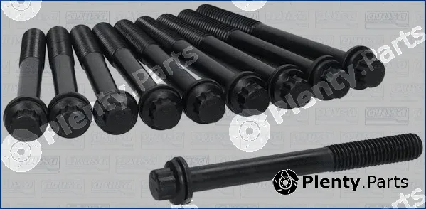 Wilmink Group WG2083792 — Cylinder Head Bolt Set