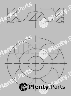 Wilmink Group WG1104563 — Piston