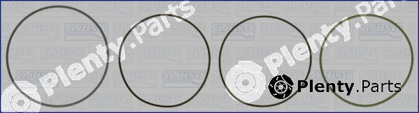 Wilmink Group WG1170256 — O-Ring Set, cylinder sleeve