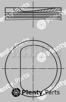 Wilmink Group WG1787876 — Piston