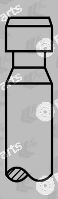 Wilmink Group WG1173777 — Intake Valve