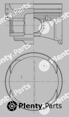 Wilmink Group WG1924760 — Piston