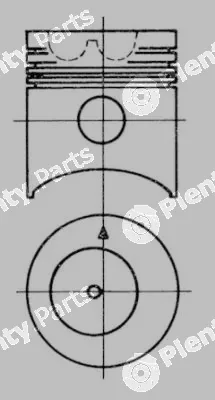 Wilmink Group WG1022542 — Piston