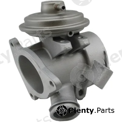Wilmink Group WG1965220 — EGR Valve