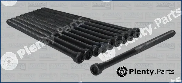 Wilmink Group WG2188215 — Cylinder Head Bolt Set