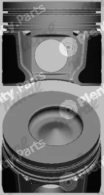 Wilmink Group WG1234598 — Piston