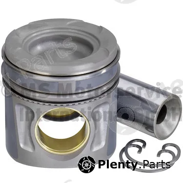 Wilmink Group WG2192794 — Piston