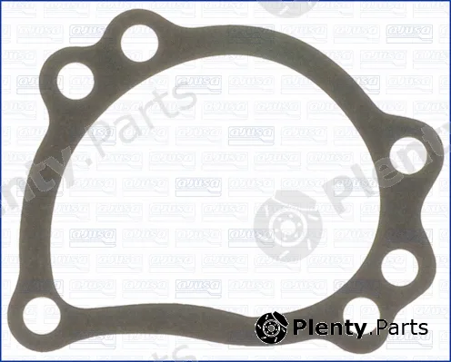 Wilmink Group WG1750738 — Gasket, water pump