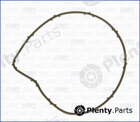 Wilmink Group WG1448599 — Gasket, water pump