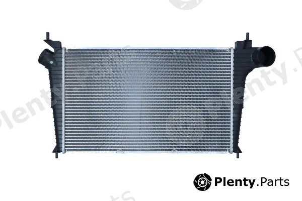 Wilmink Group WG1724099 — Charge Air Cooler