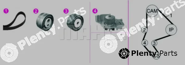 Wilmink Group WG2182132 — Water Pump & Timing Belt Kit