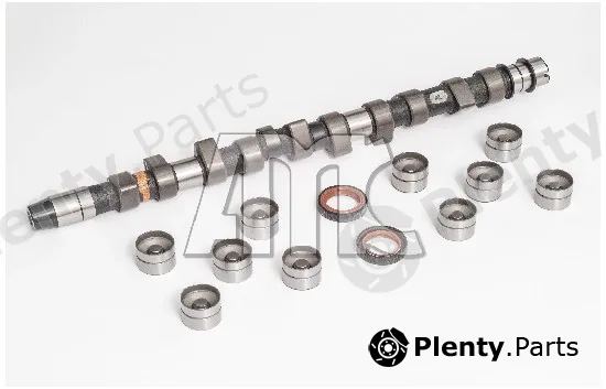 Wilmink Group WG2010543 — Camshaft Kit