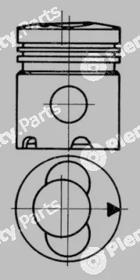 Wilmink Group WG1022487 — Piston