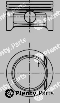 Wilmink Group WG1016573 — Piston
