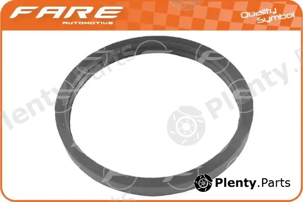 Fare SA 19913 — Seal, thermostat