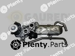 PIM 40715125 — EGR Valve