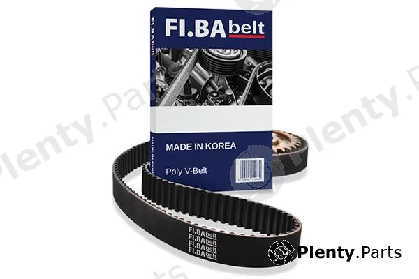 FI.BA 10X700 — V-Ribbed Belt