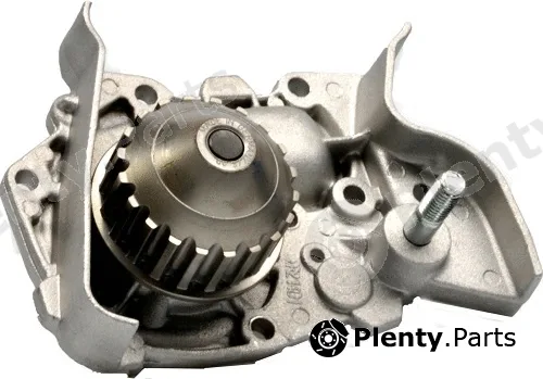 FI.BA WPF119 — Water Pump, engine cooling