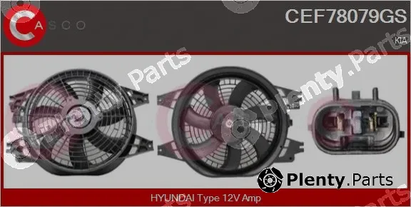 Casco CEF78079GS — Electric Motor, radiator fan