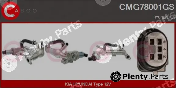 Casco CMG78001GS — EGR Module