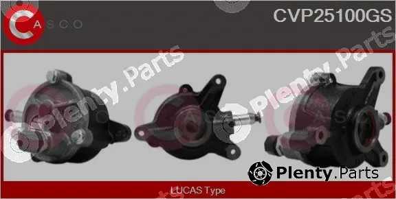 Casco CVP25100GS — Vacuum Pump