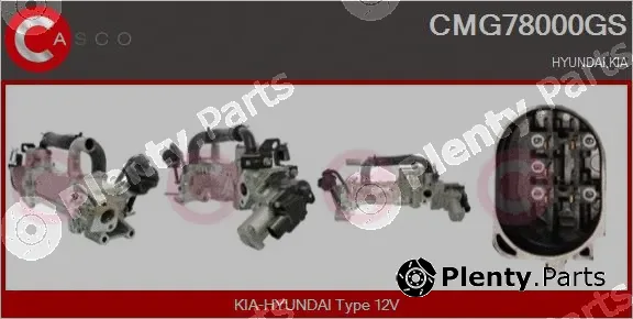 Casco CMG78000GS — EGR Module