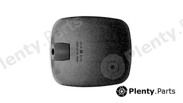 Iparlux 20531119 — Exterior Mirror