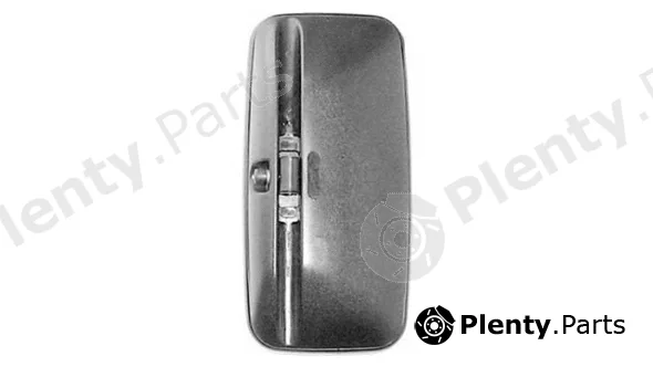 Iparlux 51928819 — Exterior Mirror, driver cab