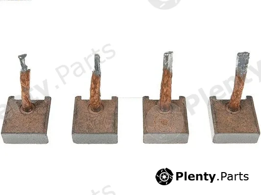 AS-PL BSX151 — Carbon Brush, starter Brand new | AS-PL | Starter brush sets