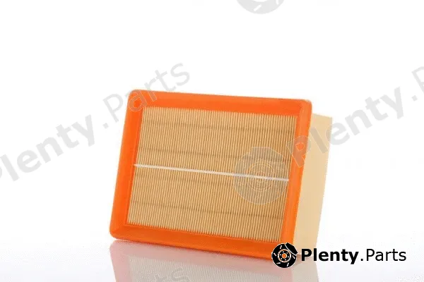 PZL Filters WA50442 — Air Filter
