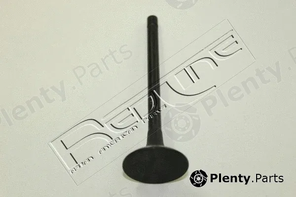 Red-Line 15IZ012 — Intake Valve