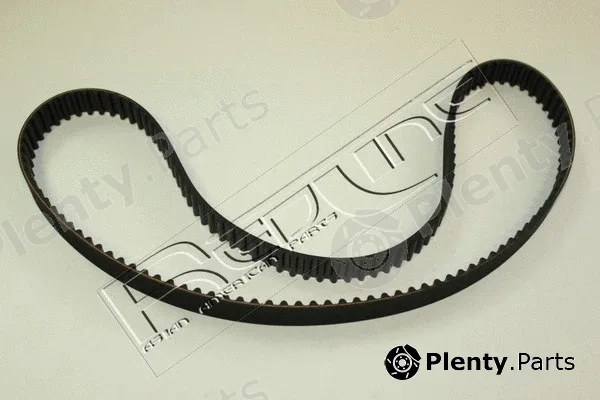 Red-Line 29CV006 — Timing Belt