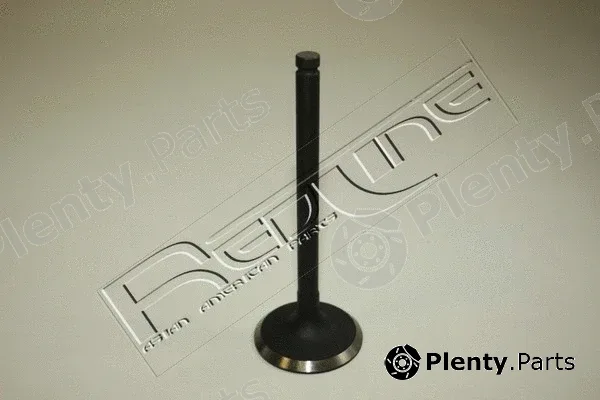 Red-Line 15NI016 — Intake Valve