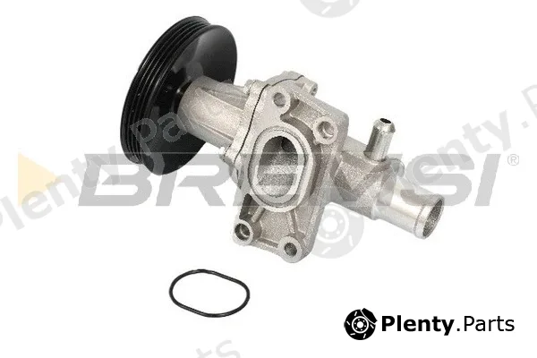 Bremsi WP0624 — Water Pump, engine cooling