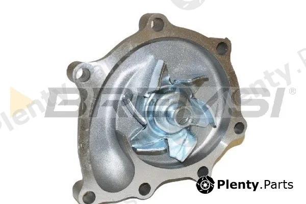 Bremsi WP0607 — Water Pump, engine cooling