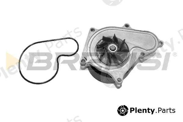 Bremsi WP0490 — Water Pump, engine cooling