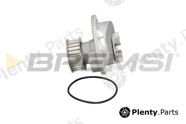 Bremsi WP0079 — Water Pump, engine cooling