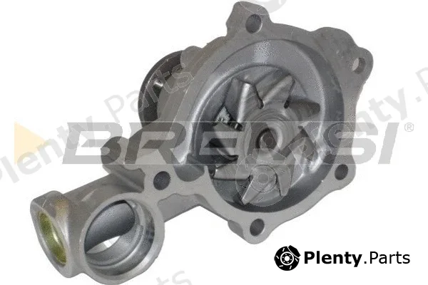 Bremsi WP0196 — Water Pump, engine cooling